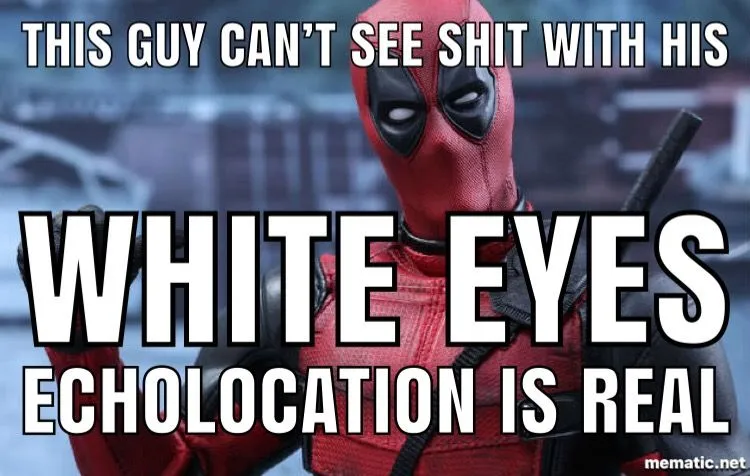 AE7B84CD-2F77-4F96-B7DD-0B257A74CA6D.jpeg