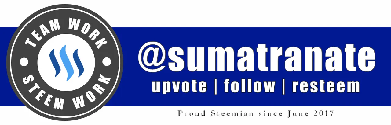 team work steem work - blue.jpg