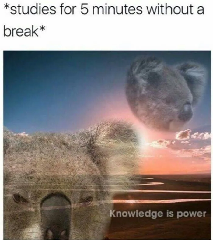 A4E7E503-9029-4C6C-B28F-7B97D27BE0FA.jpeg