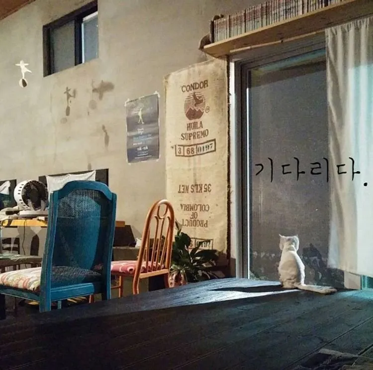 1A099268-DA1D-47B0-8F94-7FF45234F109.jpeg