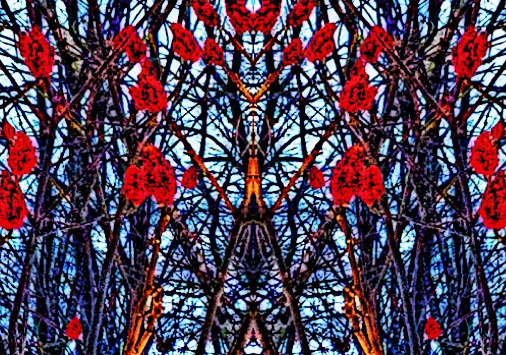 811DBAE3-684F-4010-9B3E-B4276C6BAB0C.jpeg