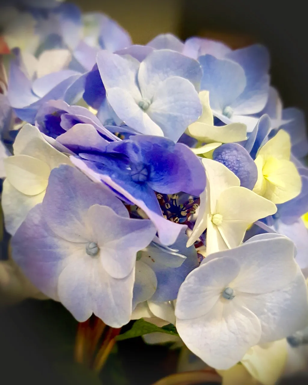 CBE9A4A4-4ED1-482B-8C29-2FA467D59D2B.jpeg