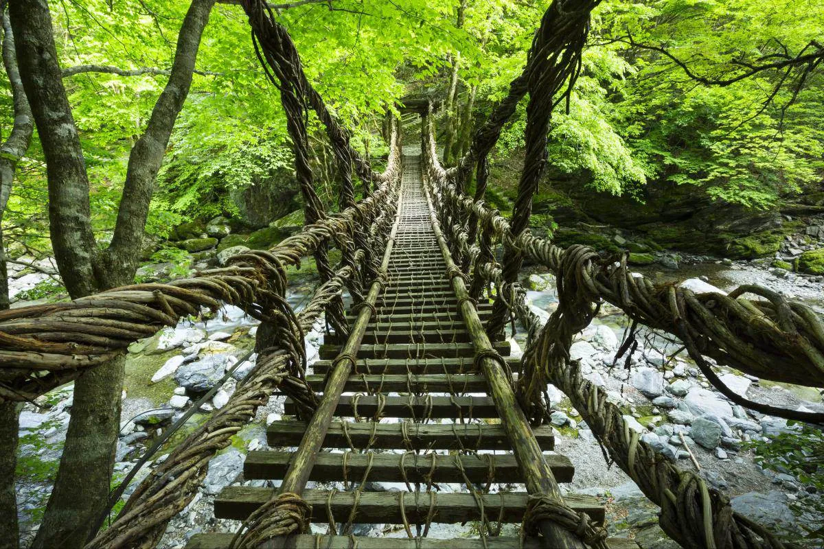 Iya Kazurabashi Bridge, Japan.jpg