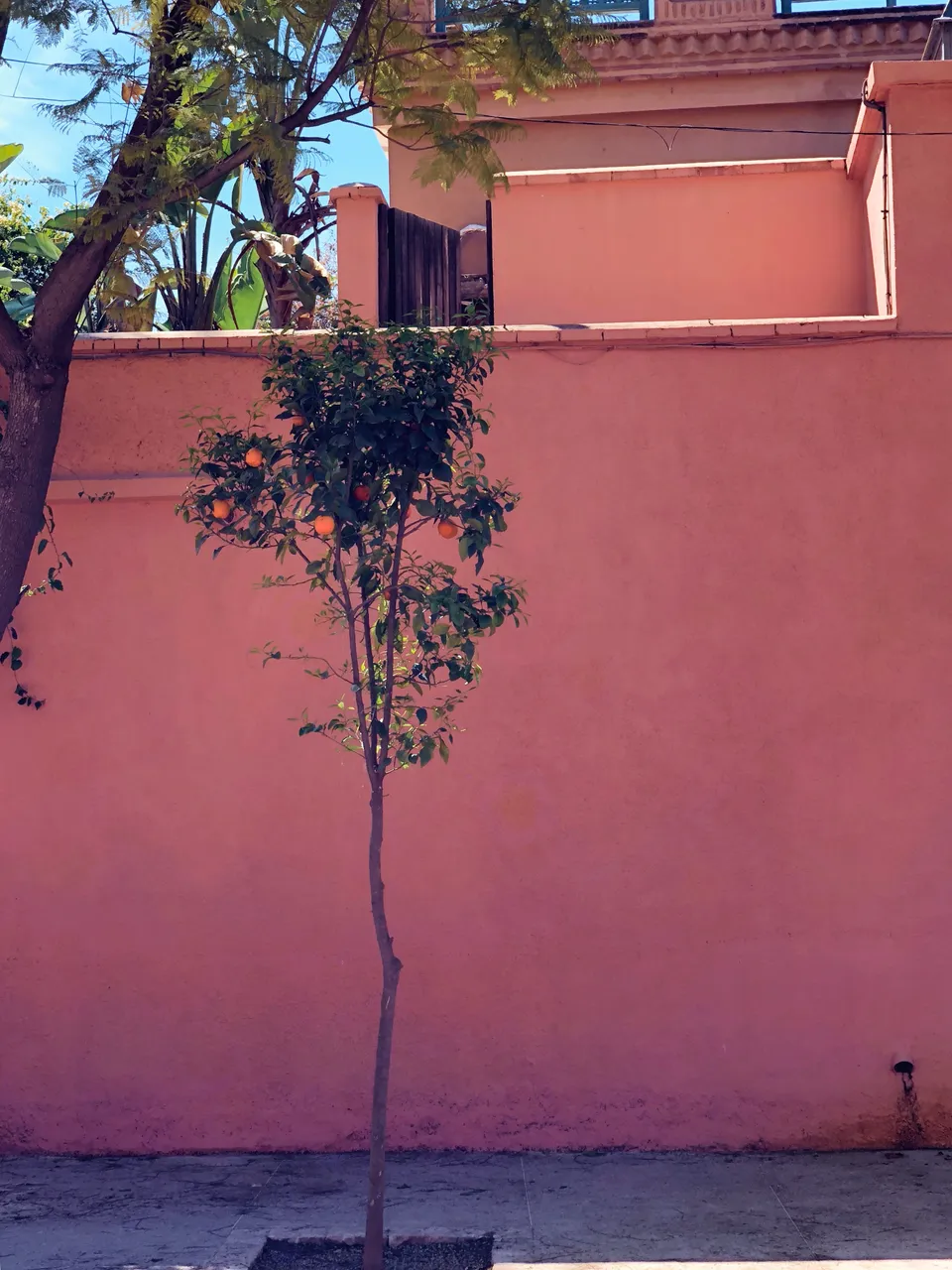 FC348D38-C731-4C41-9332-3110073D8B80.jpeg