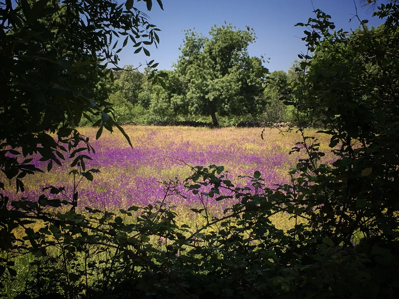 258A8198-B45D-45E1-B1F5-3F67E2F4B061.jpeg
