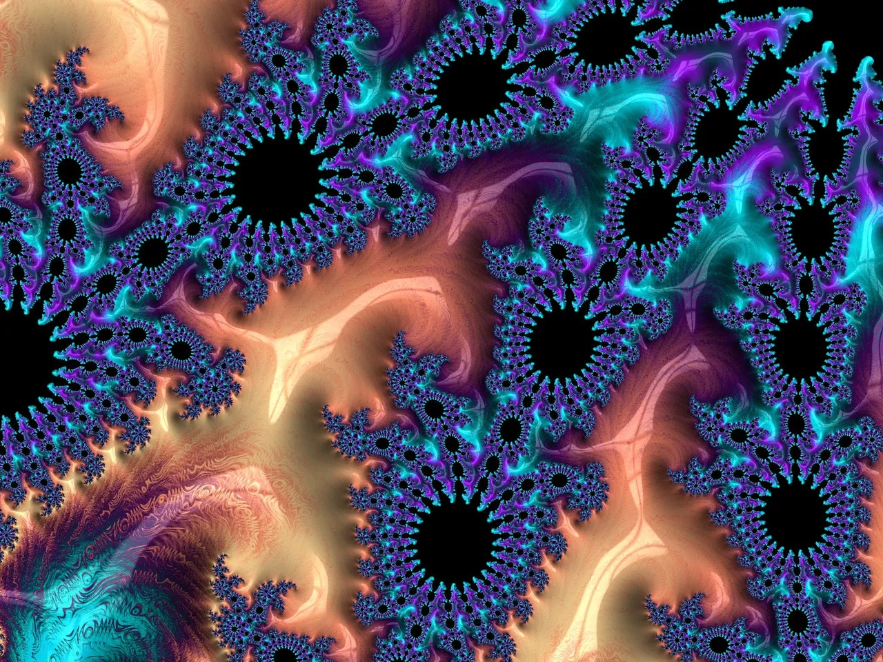 5BBA4910-C212-4180-B9E2-D27EE7B0DD00.jpeg
