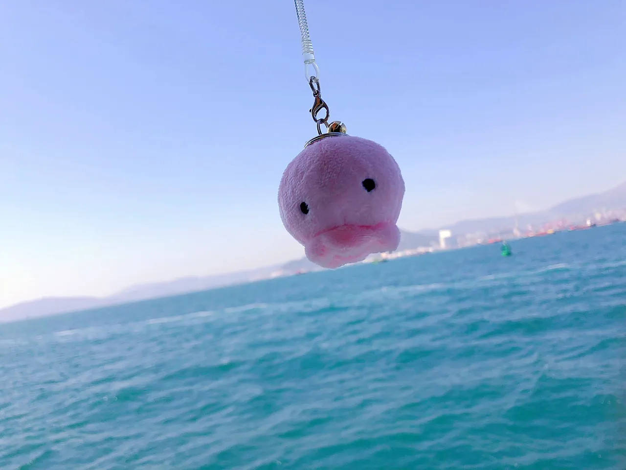 F02DBEAF-814B-4087-B085-0854E61535B8.jpeg