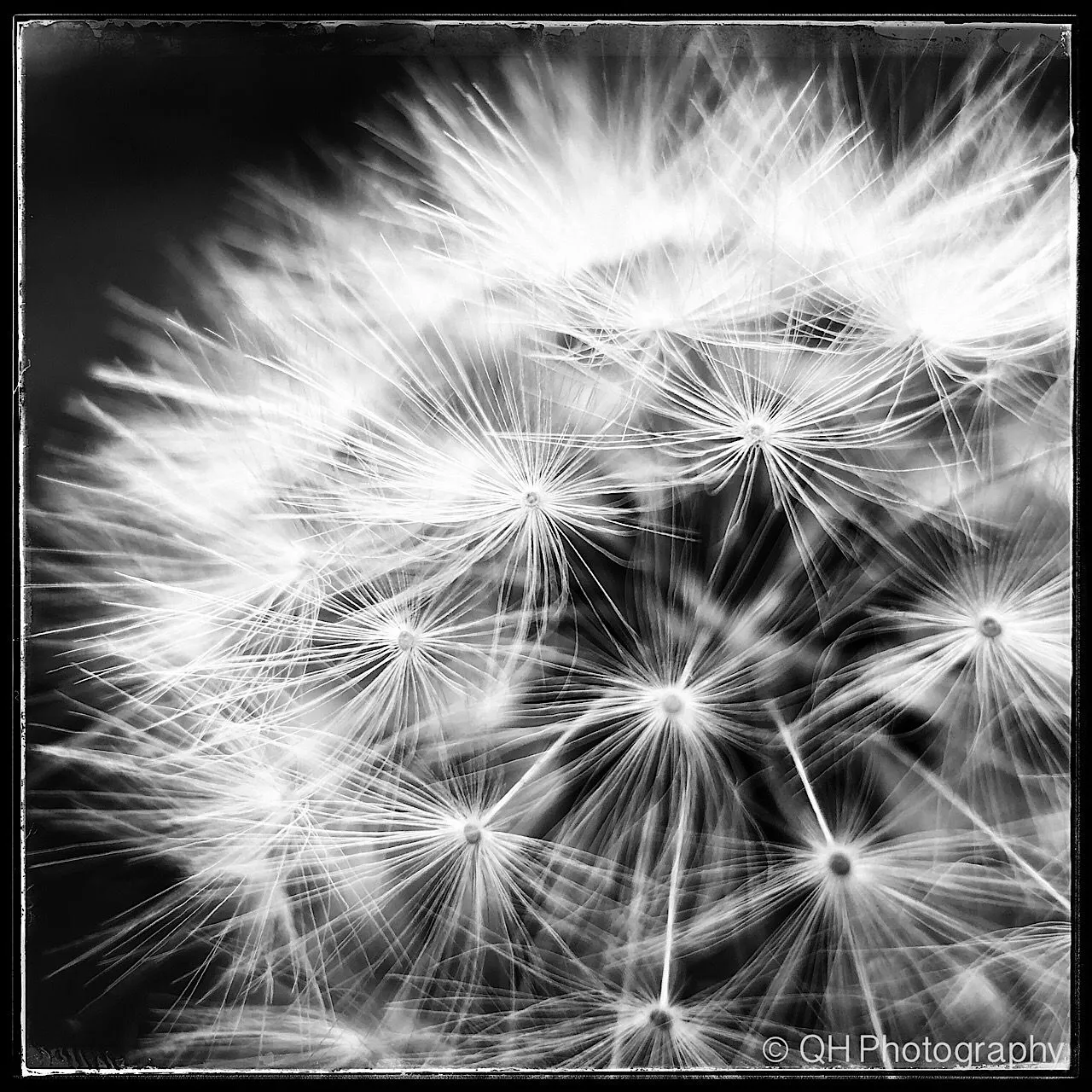 06D11D20-EA6E-44D0-9652-1E811C4ACBD9.jpeg