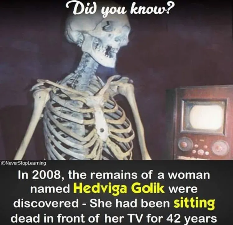 0F1CEF7E-60D7-4DD9-8486-D4C019E9E68E.jpeg