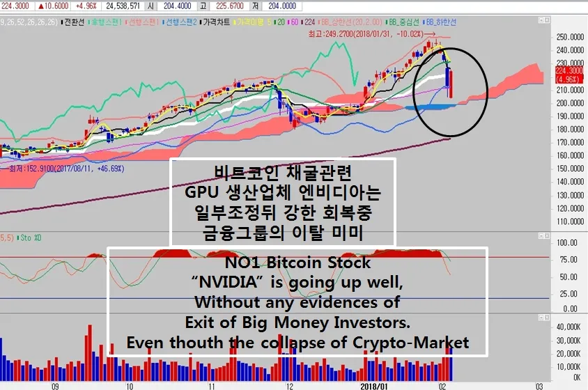 엔비디아3.jpg