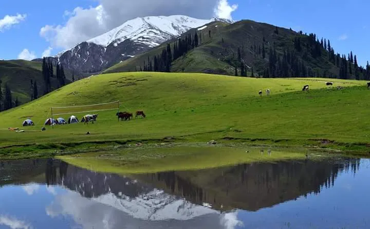 35932sari-pay-lake-in-kaghan-pictures.jpg