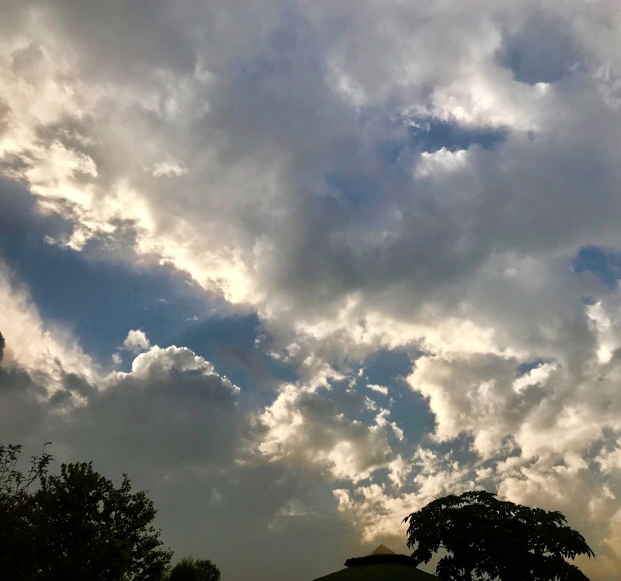 E7574FF8-6412-4F62-91CB-FE0C4A42B390.jpeg