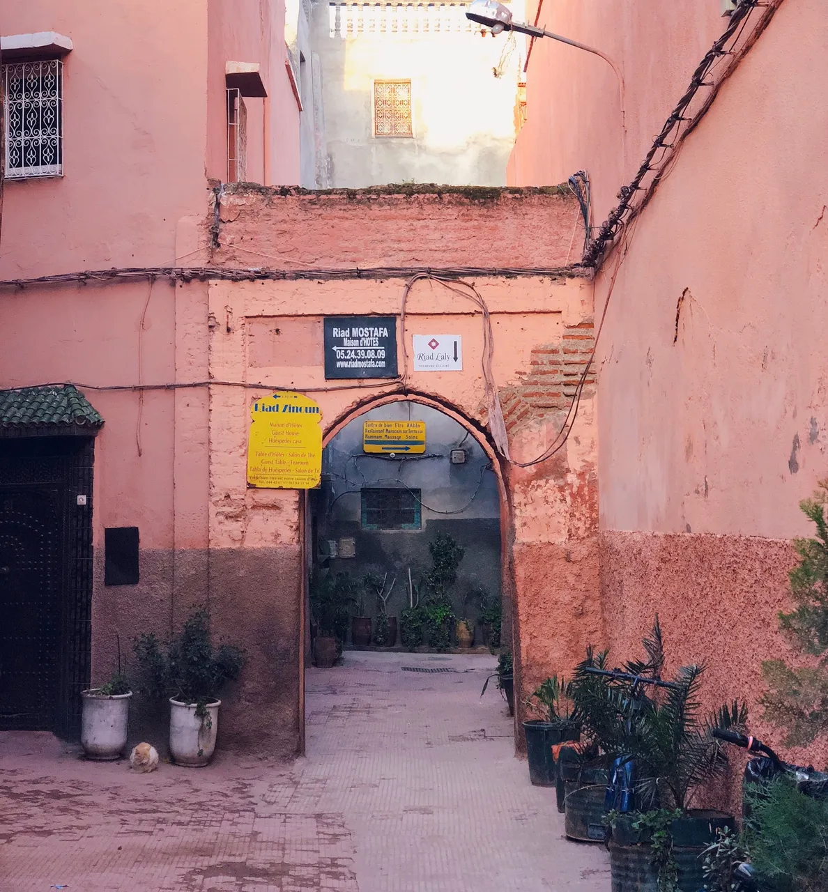 5A9E3867-7EBA-4373-9D28-41A3CA86F22A.jpeg