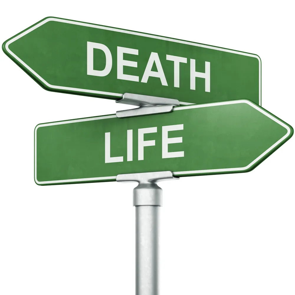 Matthew_Matter-of-Life-and-Death_img1.jpg