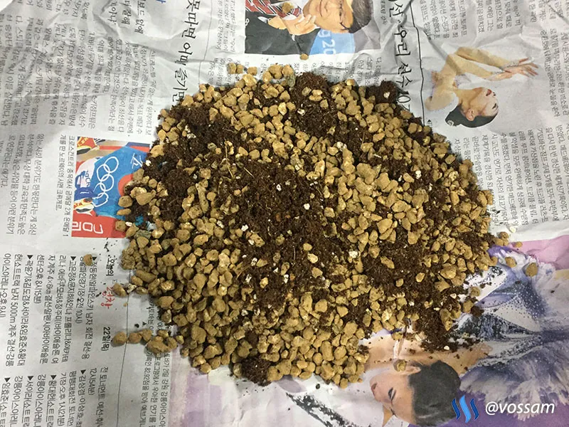 vossam_초록이_15.jpg