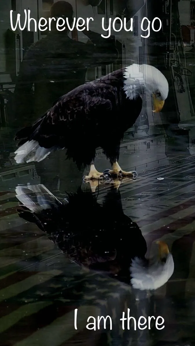 73C6CD6F-54AA-4C6C-8984-3E205062354C.jpeg