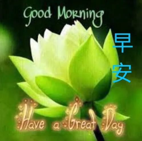 51D202D9-D61A-4026-BDC5-26467DD0BE57.jpeg