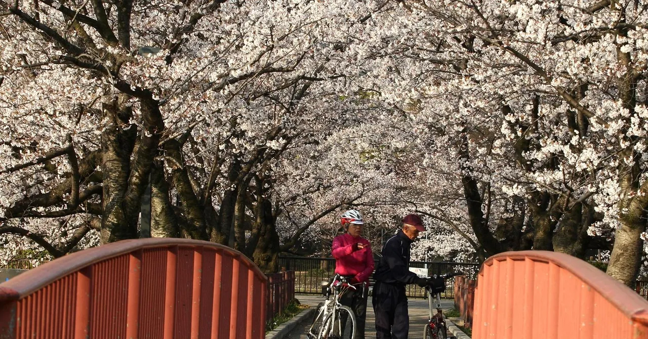 104397660-Osaka_Japan.1910x1000 (1).jpg