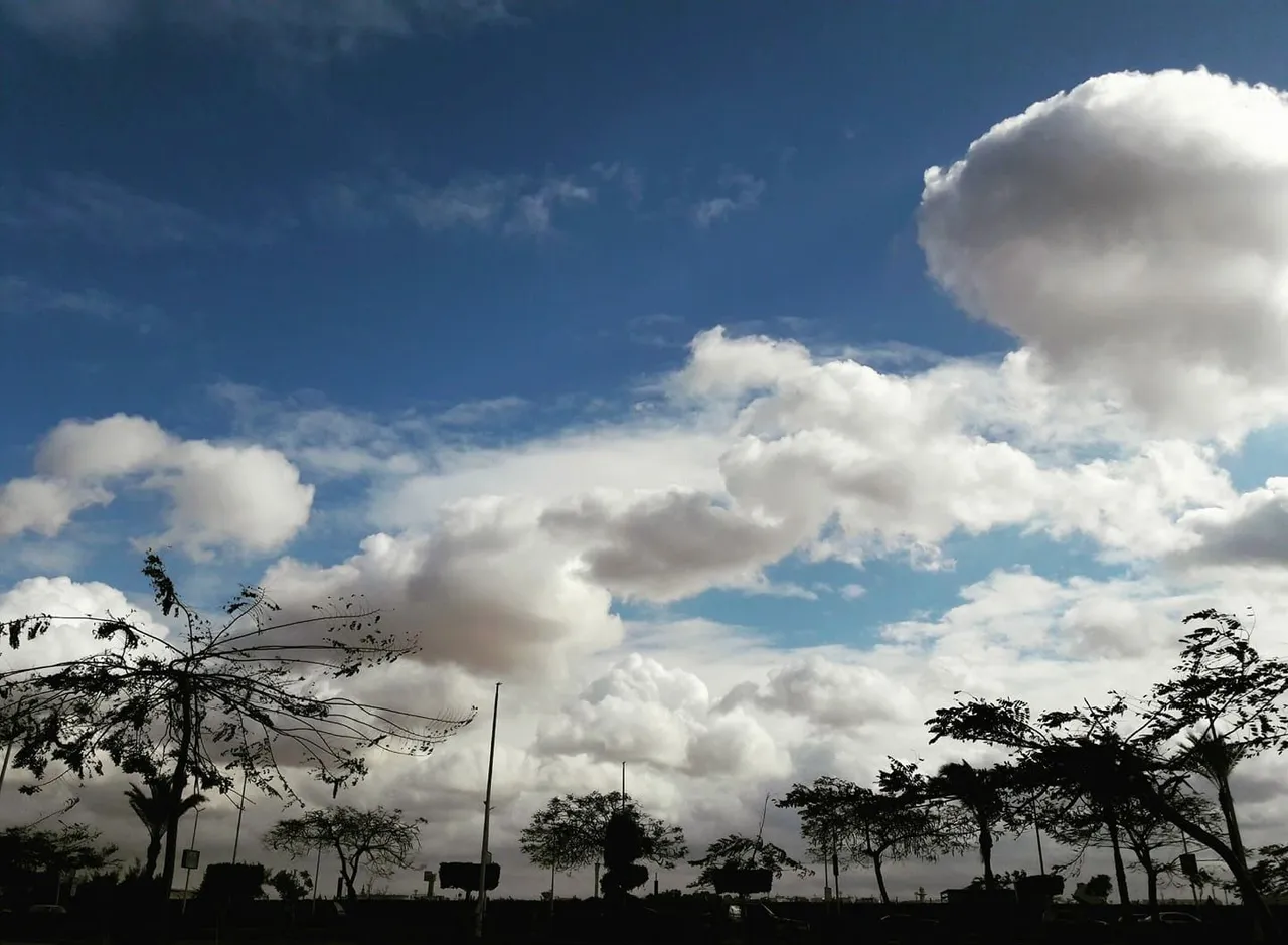 07683D95-5CCF-418B-BC42-0255026F0890.jpeg