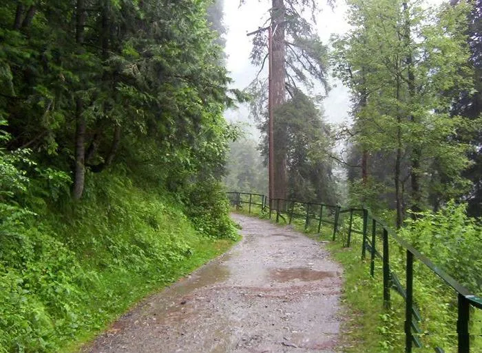 ayubia-national-Park-and-hiking-track.jpg