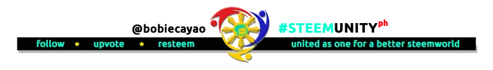 27781616_1834414119924571_450308201_n.png
