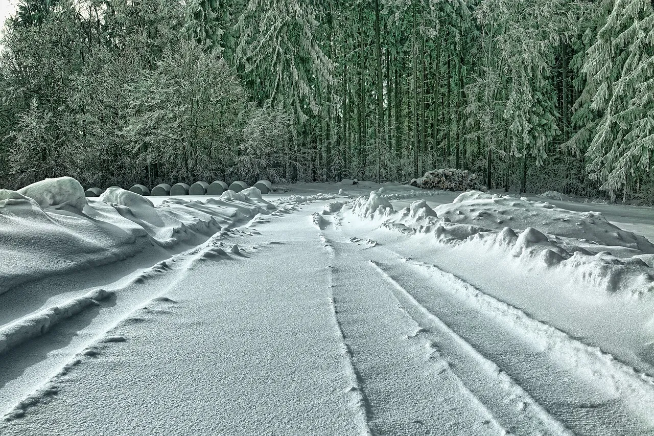 64DEB49F-5AAC-413D-A9E9-D38D8FE73B13.jpeg
