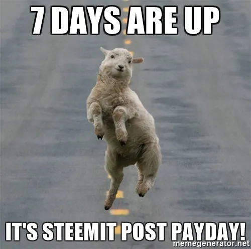 7-days-are-up-its-steemit-post-payday.jpg