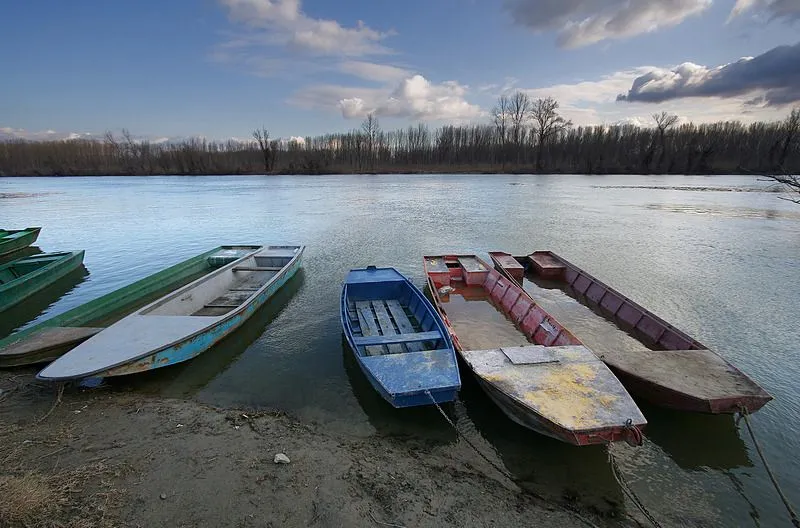 River boats - IMG_5241-ps-steem.jpg