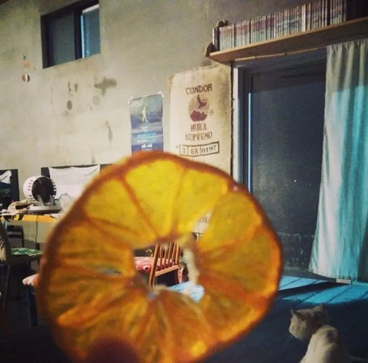 14DCE232-93A7-4F88-86CB-9C6A112962F5.jpeg
