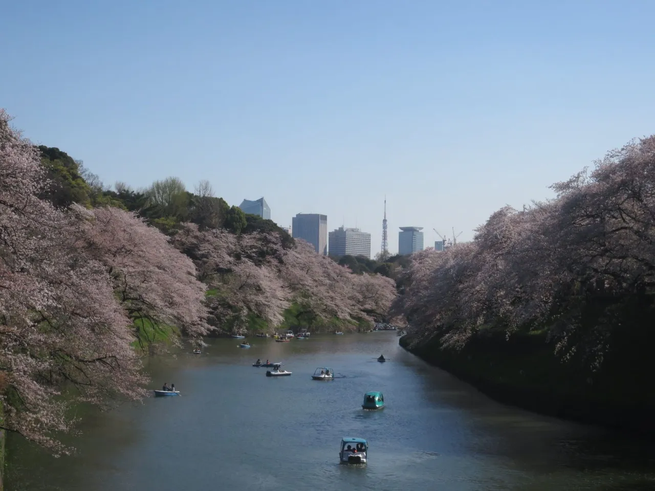 521887F8-CFB5-4109-A3DC-6CD4D41153E9.jpeg