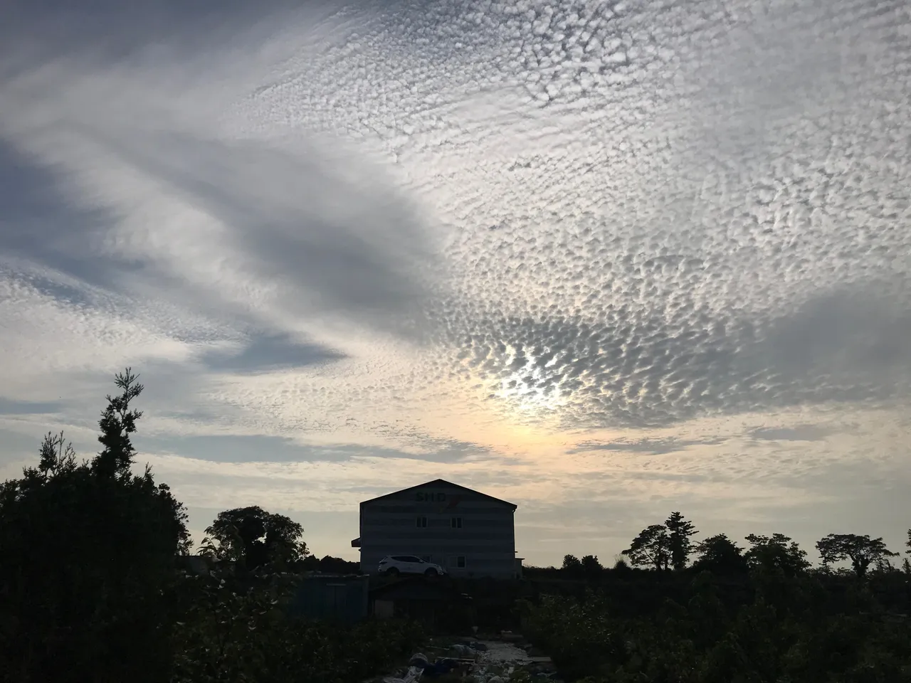 4486F741-3173-4B38-A5BF-1B4F0EF6B9C3.jpeg