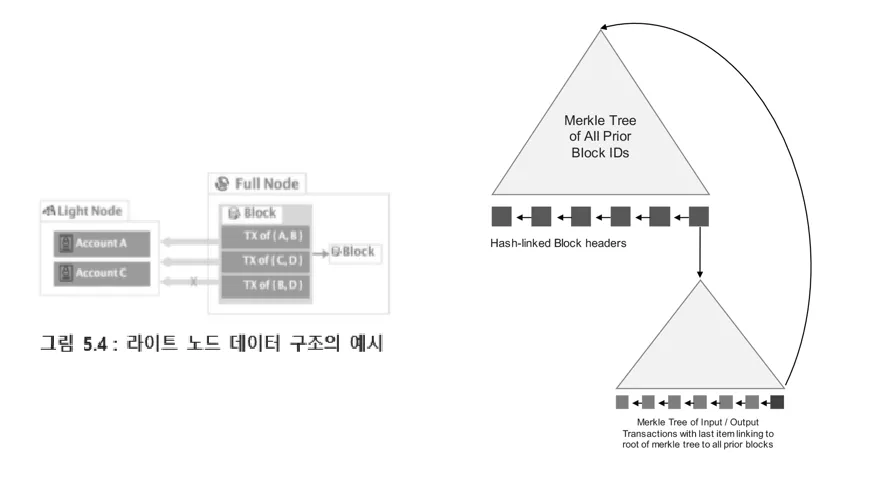 F973_라이트 노드 머클 증명 - 엘프 백서 및 이오스 테크티컬 백서 발췌.png