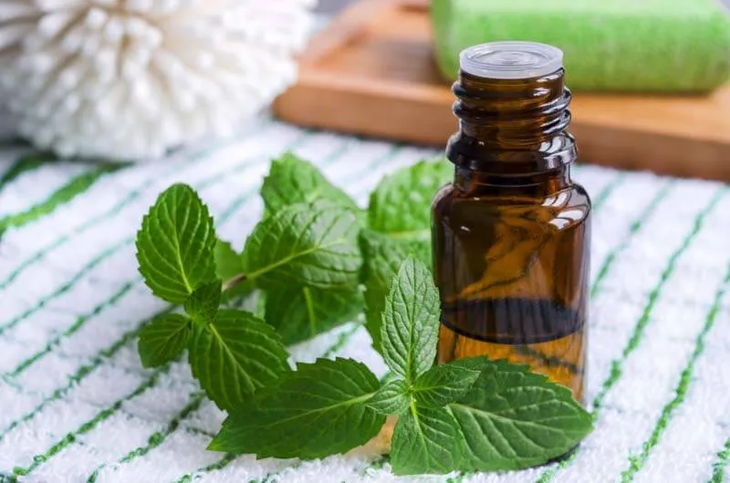 Image of Peppermint Essential Oil