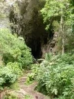 Cueva del Guacharo