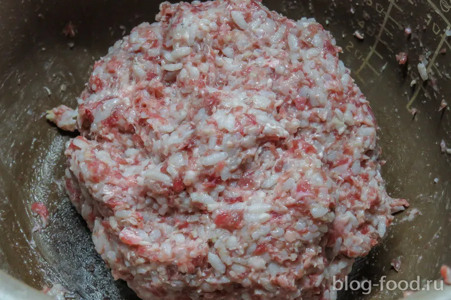 Stuffed cabbage from Chinese cabbage