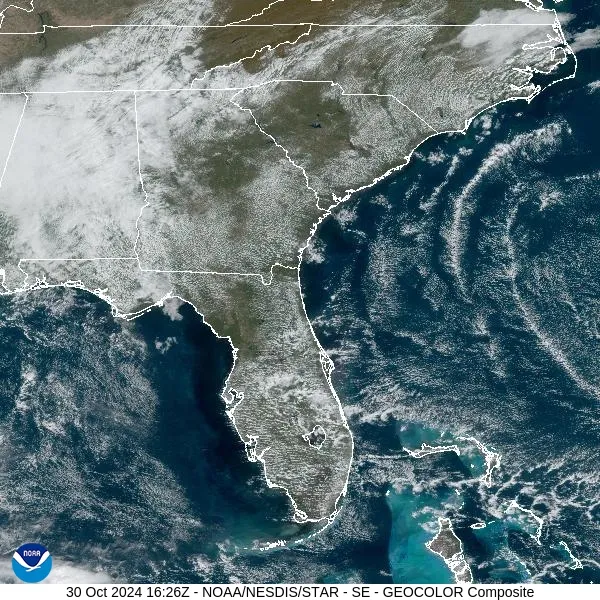 storm free