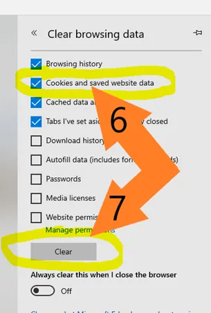 Cookies and saved website data