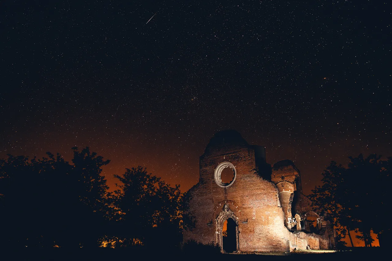 Perseid Meteor Shower