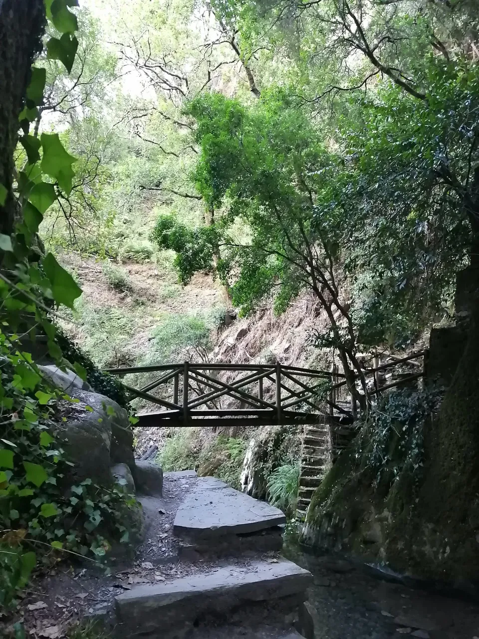 bridge.jpeg