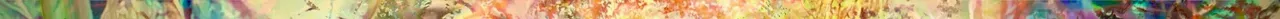 b1 62520 4.jpeg