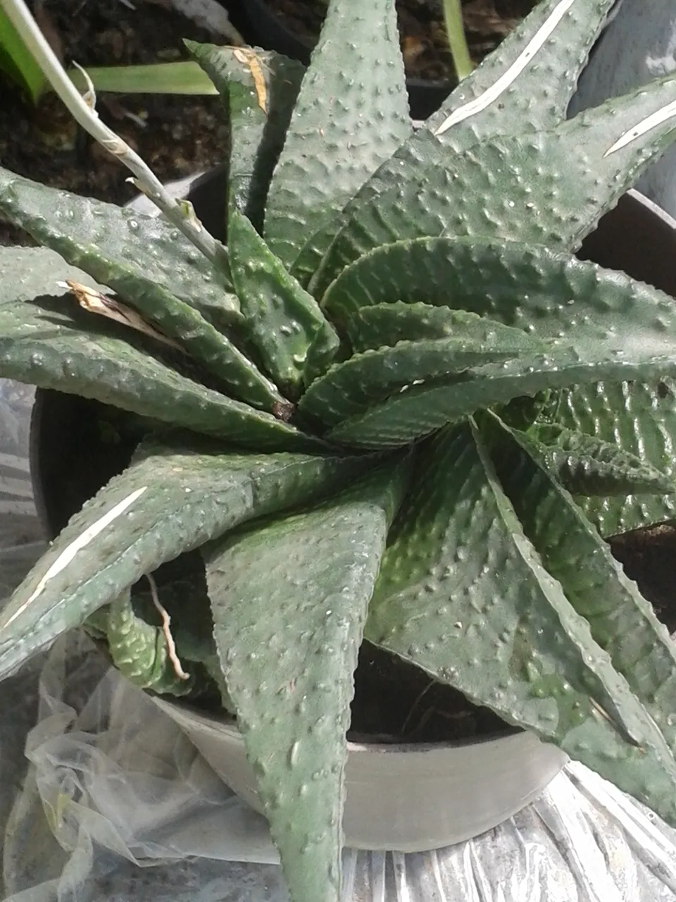 20201117_124843.jpg