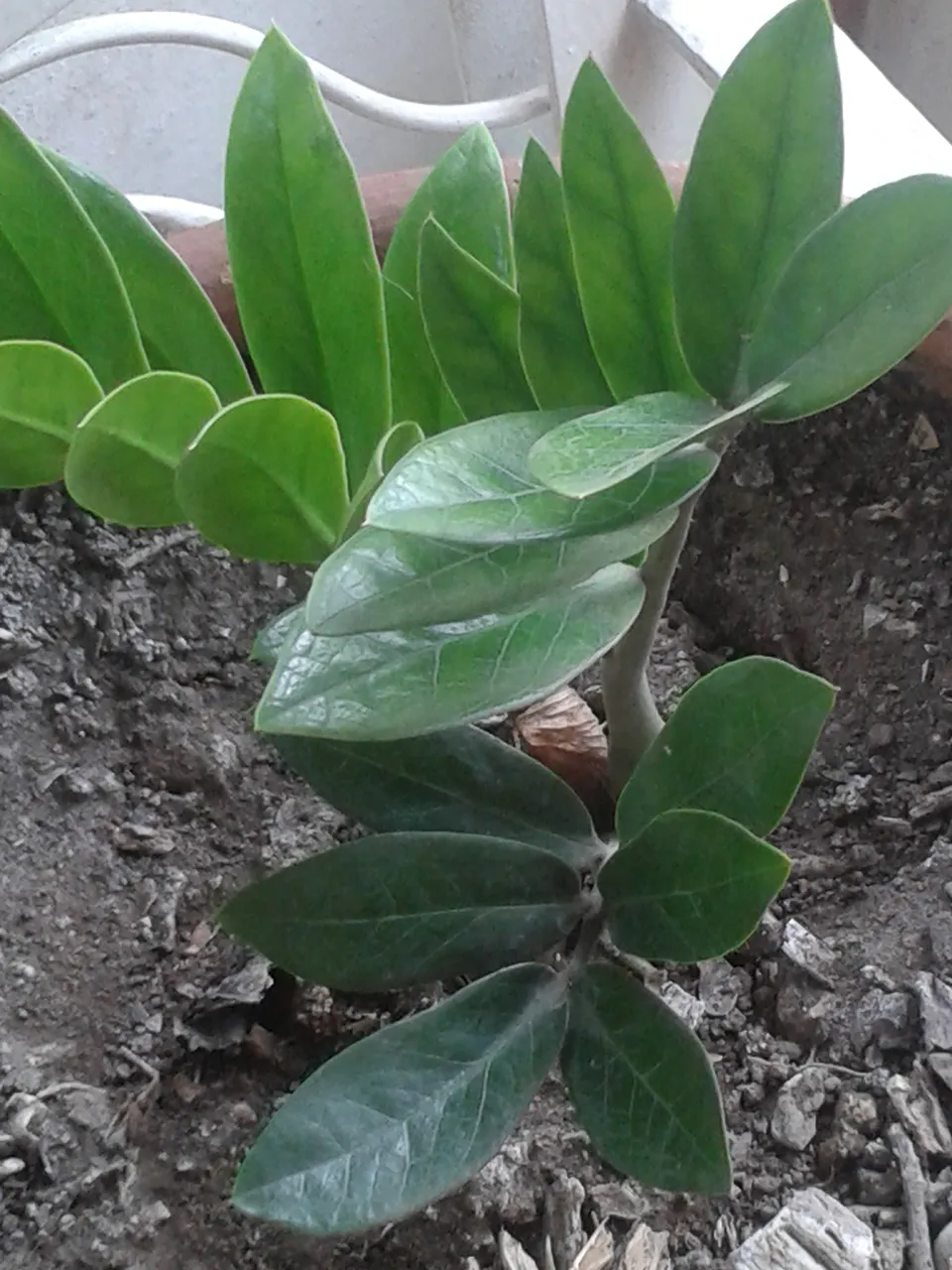 20201101_145739.jpg