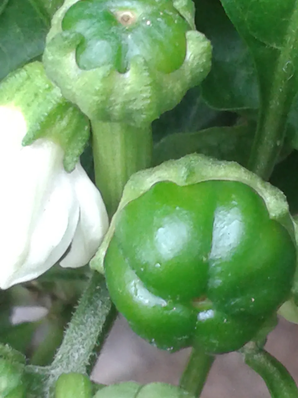 20190930_101025.jpg