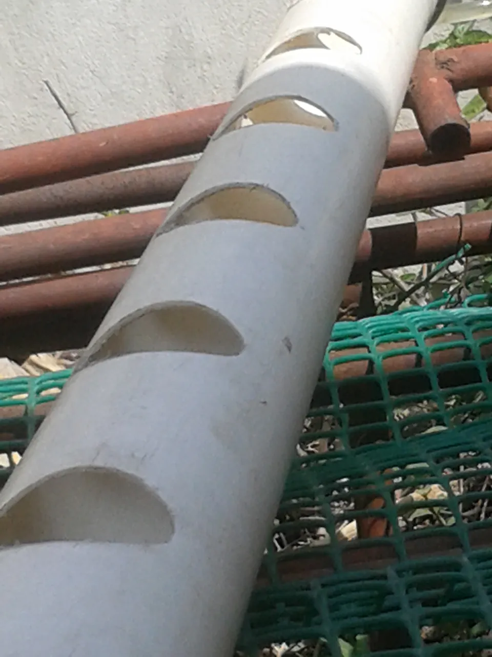 20200301_101325.jpg