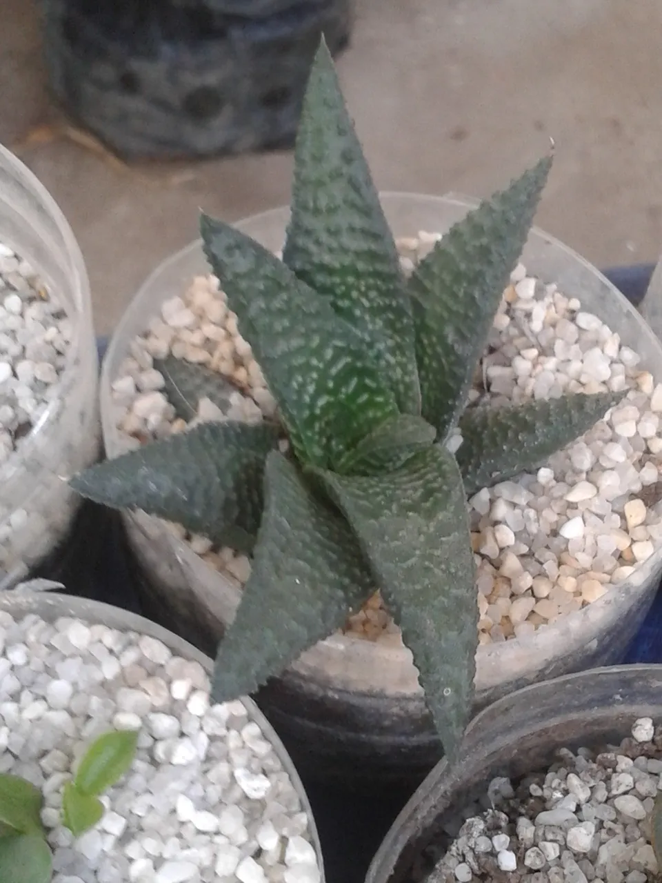 20201117_125019.jpg