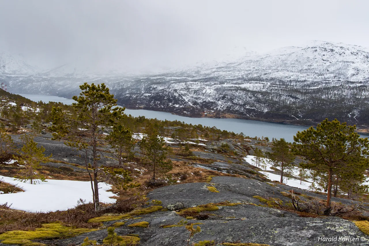 Olbogfjellet9.jpg