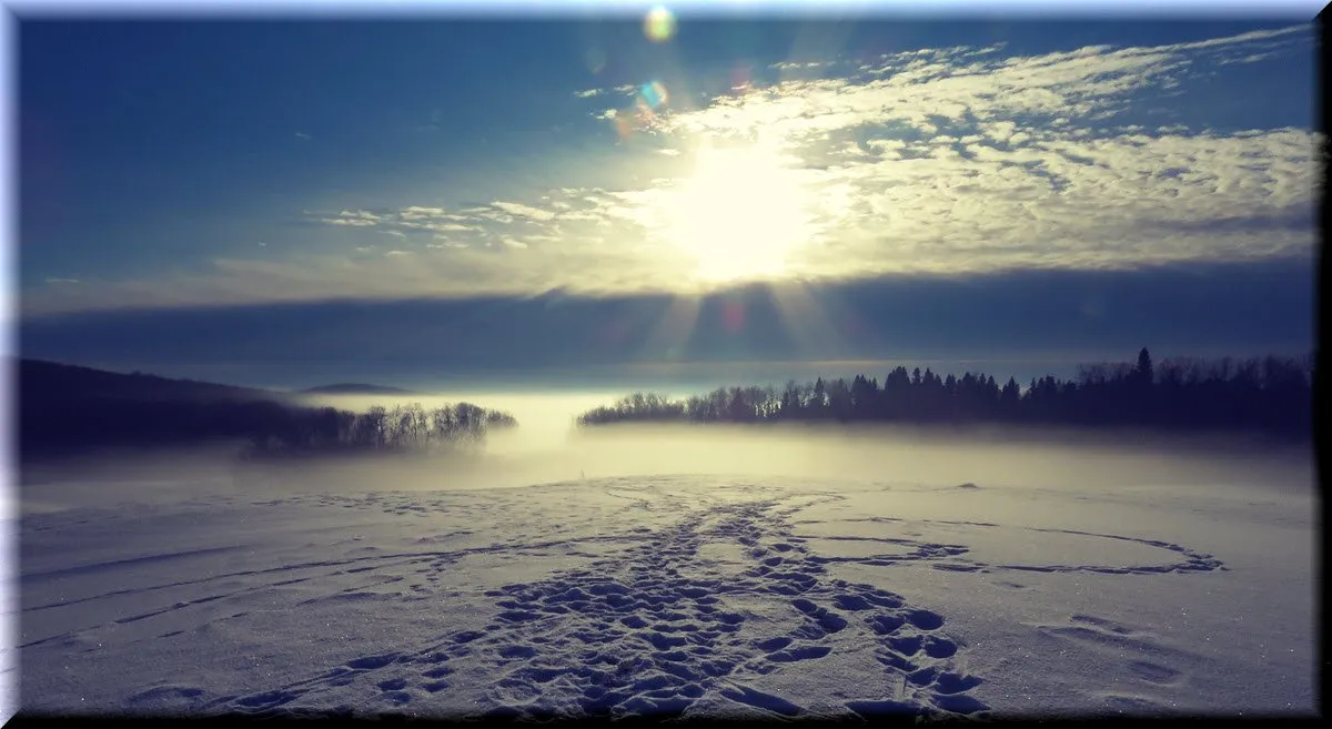porters03.jpg