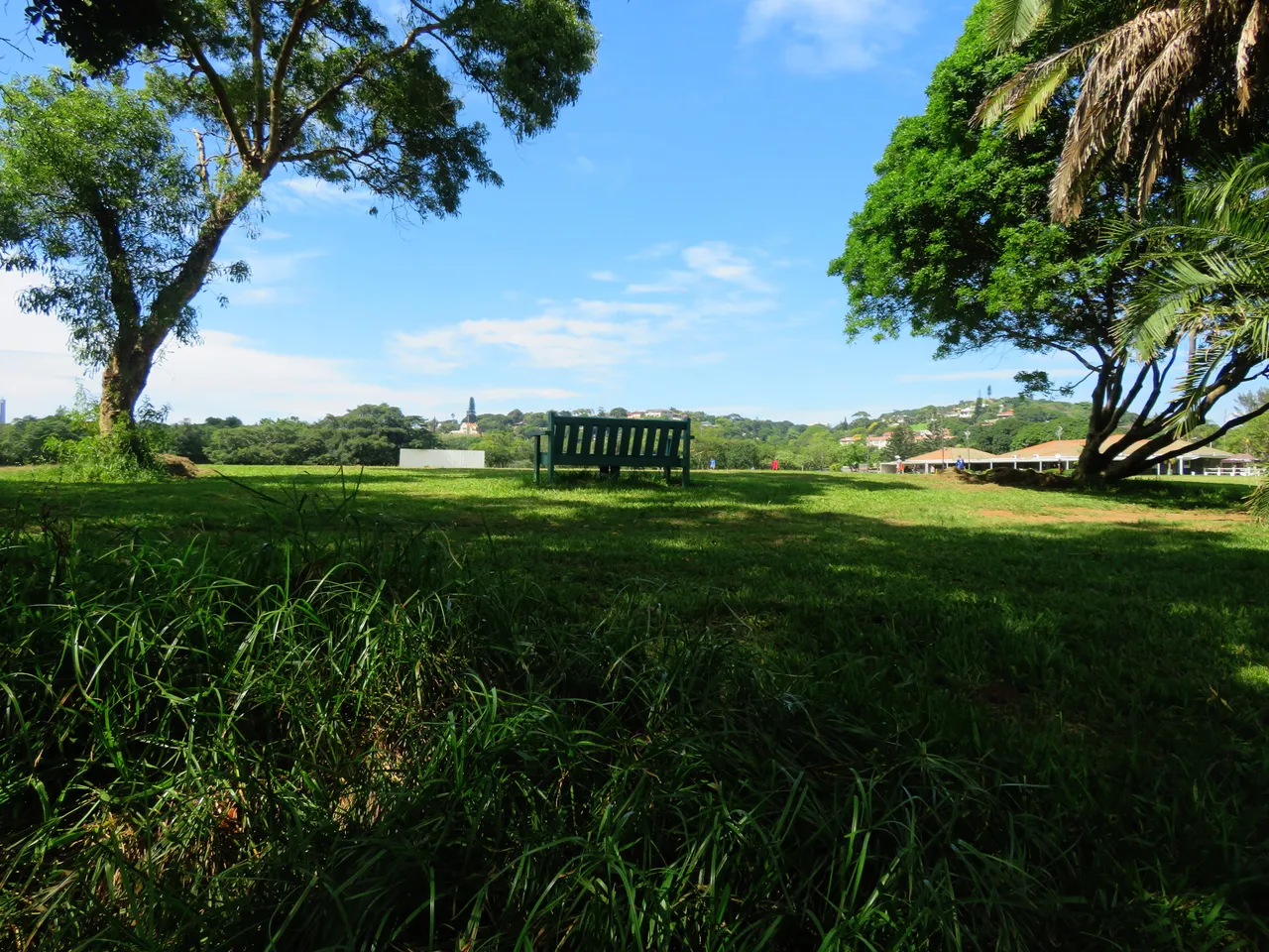 1082Toti.JPG