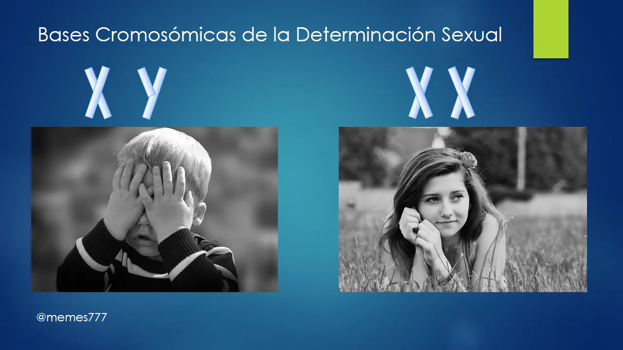 Diapositiva2.PNG
