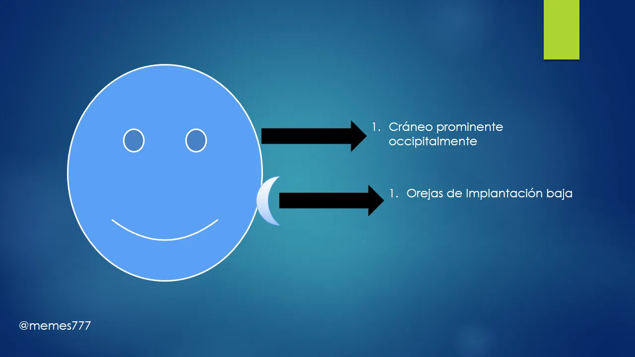 Diapositiva5.PNG